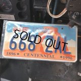90s Vintage American License Number Plate / UTHA 668 ZAL (B612)