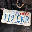 画像1: Vintage American License Number Plate / Utah 119 CKR (B609) (1)