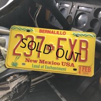 90s Vintage American License Number Plate / New Mexico USA 237 FXB (B624)
