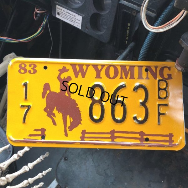 画像1: 80s Vintage American License Number Plate / WYOMING 17 863 BF (B610)