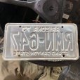 画像2: 70s Vintage American License Number Plate / ARIZONA RMN 647 (B606) (2)