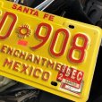 画像2: 90s Vintage American License Number Plate / New Mexico ECD 908 (B623) (2)