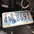 画像1: 90s Vintage American License Number Plate / Wyoming 4 869 AE (B611) (1)