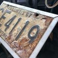 画像2: 60s Vintage American License Number Plate / ILLINOIS GE 4119 (B602) (2)