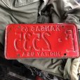 画像4: 60s Vintage American License Number Plate / KANSAS RL 2535 (B614) (4)