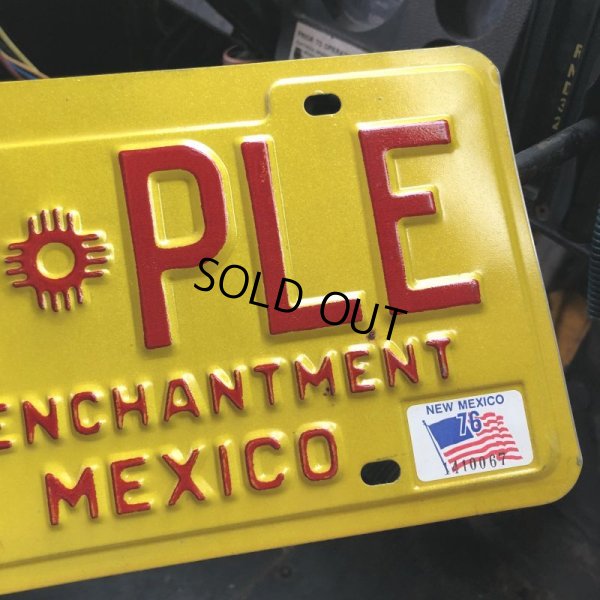 画像2: Vintage American License Number Plate / New Mexico SAM PLE (B619)