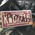  90s Vintage American License Number Plate / ARIZONA KWD 716 (B620)