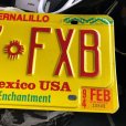 画像3: 90s Vintage American License Number Plate / New Mexico USA 237 FXB (B624) (3)