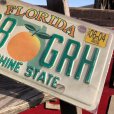 画像2: Vintage American License Number Plate / FLORIDA T98 GRH (B625) (2)