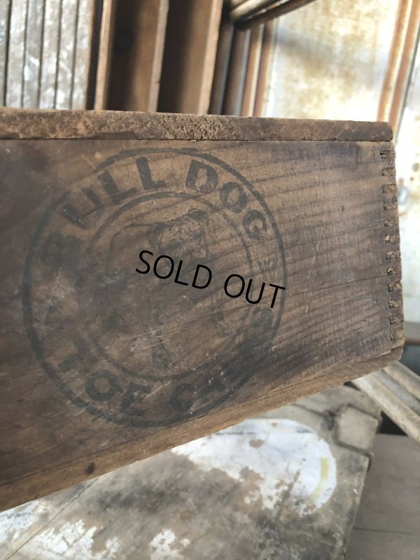 画像5: Antique Phoenix Bull Gog Toe Calks Wooden Box (B667)