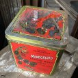 画像4: Vintage Tin Can MANDORLATO (B745)
