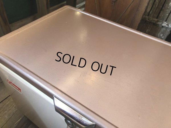 画像18: Vintage Coleman Cooler Box Butter Nuts (B739)