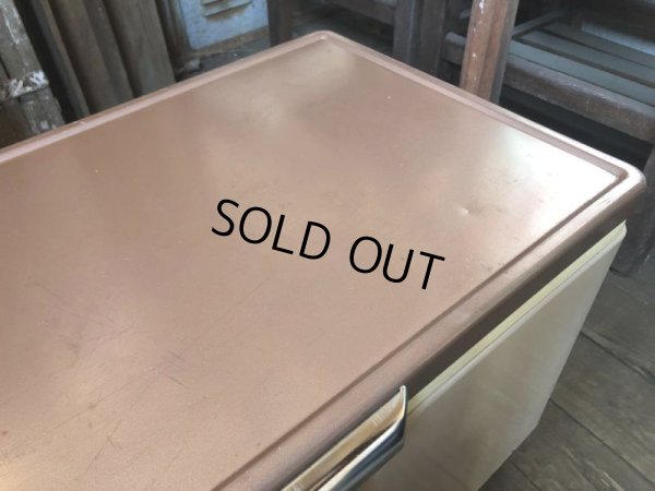 画像19: Vintage Coleman Cooler Box Butter Nuts (B739)