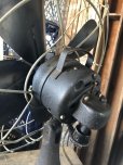 画像11: Vintage EMERSON Electric Mfg 4 Blad Fan (B759)