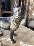 画像19: Antique Cast Iron Boston Terrier Doorstop Statue (B818)