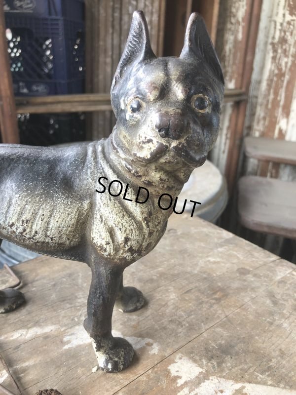 画像19: Antique Cast Iron Boston Terrier Doorstop Statue (B818)