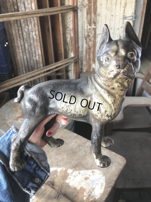画像22: Antique Cast Iron Boston Terrier Doorstop Statue (B818)