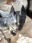 画像18: Antique Cast Iron Boston Terrier Doorstop Statue (B818)