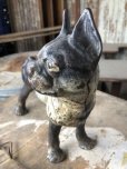 画像12: Antique Cast Iron Boston Terrier Doorstop Statue (B818)