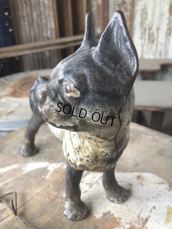 画像12: Antique Cast Iron Boston Terrier Doorstop Statue (B818)