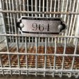 画像1: Vintage Frank D Cohan Gym Locker Metal Wire Basket #964 (B952) (1)