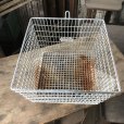 画像4: Vintage Frank D Cohan Gym Locker Metal Wire Basket #992 (B959)