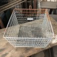 画像4: Vintage Frank D Cohan Gym Locker Metal Wire Basket #846 (B957)