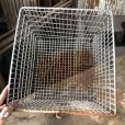 画像6: Vintage Frank D Cohan Gym Locker Metal Wire Basket #964 (B952)