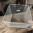 画像4: Vintage Frank D Cohan Gym Locker Metal Wire Basket #880 (B958)