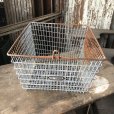 画像2: Vintage Frank D Cohan Gym Locker Metal Wire Basket #995 (B961) (2)