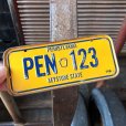 画像1: 70s Vintage Bicycle License Plate 1979 PENNSYLVANIA PEN-123 (M106) (1)