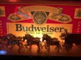 画像24: Vintage Budweiser Beer Lighted Store Display Advertising BAR Sign (M271) 