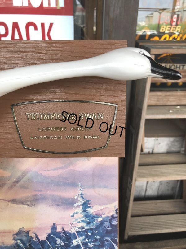 画像7: 60s Wiedemann's Fine Beer Trumpeter Swan Advertising Store Display Lighted Sign (M273) 