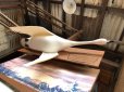 画像8: 60s Wiedemann's Fine Beer Trumpeter Swan Advertising Store Display Lighted Sign (M273) 