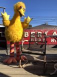 画像1: 【店舗引き取り限定】 Vintage Sesame Street Big Bird Store Display Life size Statue RARE! Hard to Find!!! (M283) (1)