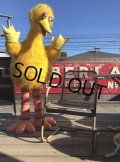 【店舗引き取り限定】 Vintage Sesame Street Big Bird Store Display Life size Statue RARE! Hard to Find!!! (M283)