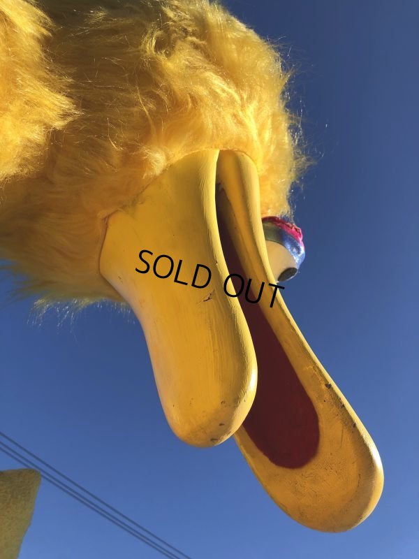 画像9: 【店舗引き取り限定】 Vintage Sesame Street Big Bird Store Display Life size Statue RARE! Hard to Find!!! (M283)