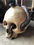 画像9: Rare ! Vintage Skeleton Skull & Snake Figurine Statue Hard to Find !!! (M382)