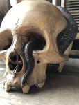 画像12: Rare ! Vintage Skeleton Skull & Snake Figurine Statue Hard to Find !!! (M382)