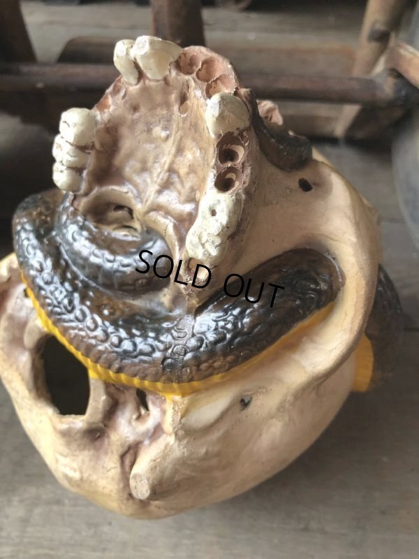 画像15: Rare ! Vintage Skeleton Skull & Snake Figurine Statue Hard to Find !!! (M382)