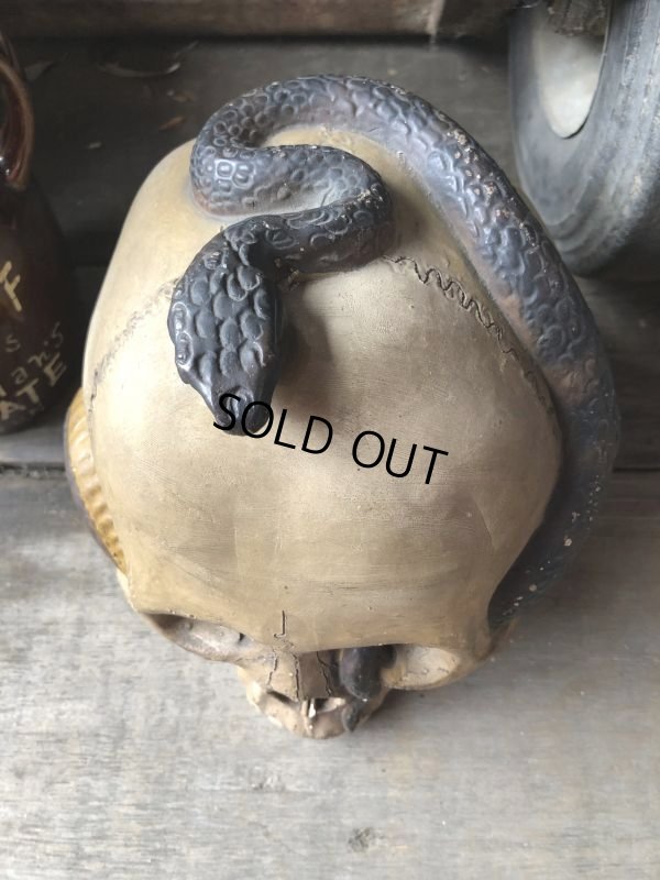 画像6: Rare ! Vintage Skeleton Skull & Snake Figurine Statue Hard to Find !!! (M382)