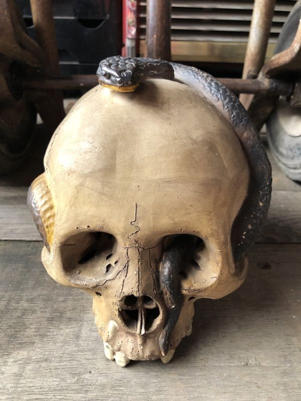 画像2: Rare ! Vintage Skeleton Skull & Snake Figurine Statue Hard to Find !!! (M382)