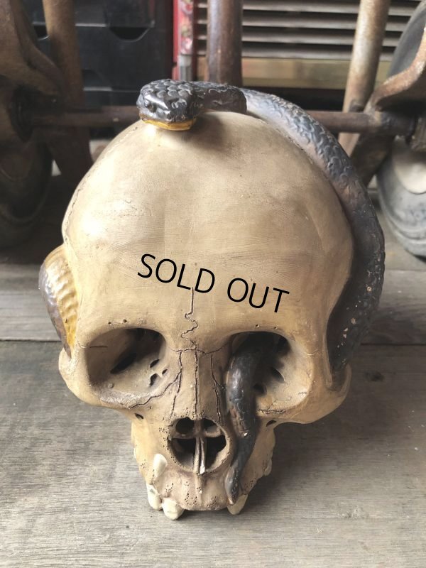 画像2: Rare ! Vintage Skeleton Skull & Snake Figurine Statue Hard to Find !!! (M382)