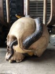 画像3: Rare ! Vintage Skeleton Skull & Snake Figurine Statue Hard to Find !!! (M382)