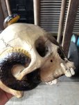 画像21: Rare ! Vintage Skeleton Skull & Snake Figurine Statue Hard to Find !!! (M382)