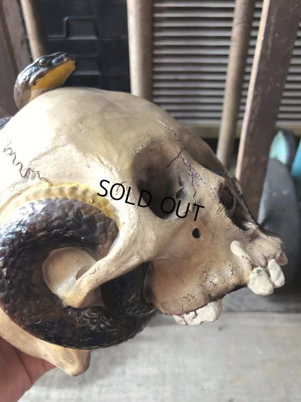 画像21: Rare ! Vintage Skeleton Skull & Snake Figurine Statue Hard to Find !!! (M382)