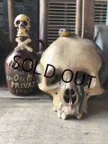 Rare ! Vintage Skeleton Skull & Snake Figurine Statue Hard to Find !!! (M382)