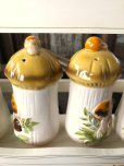 画像27: 70s Vintage Sears Merry Mushrooms kitchen Coordinates Spice Rack N.O.S (M388)