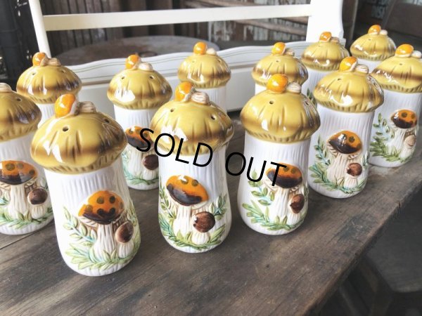 画像23: 70s Vintage Sears Merry Mushrooms kitchen Coordinates Spice Rack N.O.S (M388)