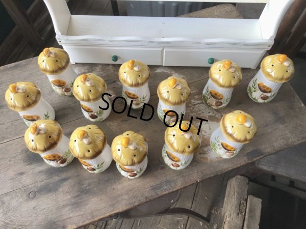 画像22: 70s Vintage Sears Merry Mushrooms kitchen Coordinates Spice Rack N.O.S (M388)